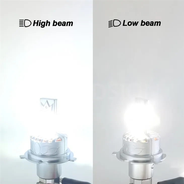 Ruiandsion led car light bulb